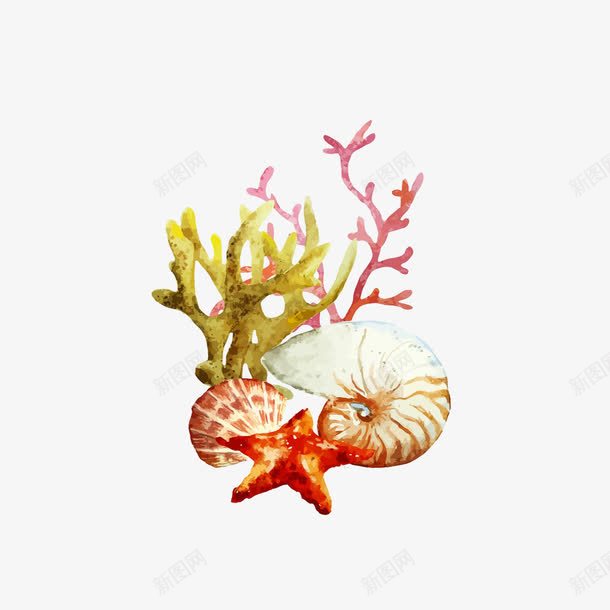 海洋生物插画png免抠素材_88icon https://88icon.com 手绘 水彩 海草 海螺