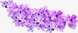 紫色春天花朵装饰素材
