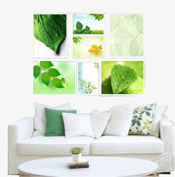 绿色沙发绿色叶子照片墙高清图片
