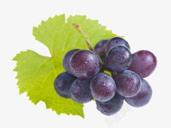 饱满的葡萄串一小串水果葡萄叶子高清图片
