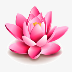 一朵3D的粉色莲花素材