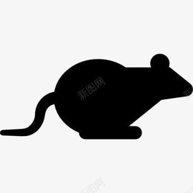 公老鼠坐在鼠标图标图标