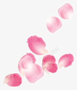 粉色飘落玫瑰花瓣婚礼素材