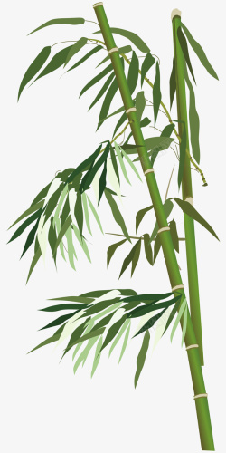 两根竹子卡通竹子和竹叶图高清图片