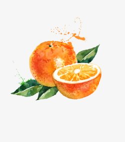 手绘水彩水果橙子素材