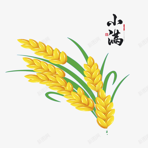 手绘二十四节气小满麦穗psd免抠素材_88icon https://88icon.com 二十四节气 实物 小满 庄稼 成熟 手绘 粮食 节气 面包 饱满 麦子 麦穗 麦苗