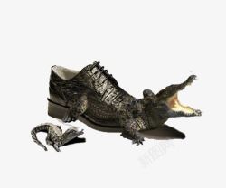 鳄鱼皮鞋素材