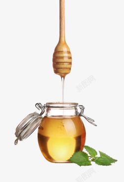 蜜罐蜂蜜高清图片