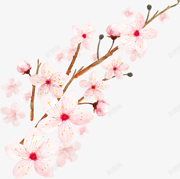 卡通手绘樱花花瓣装饰矢量图ai免抠素材_88icon https://88icon.com 春天 春天花朵 桃花 樱花 樱花漫画 矢量图 绿植 花卉 花瓣