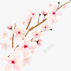桃花漫画卡通手绘樱花花瓣装饰矢量图高清图片