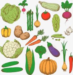 各类蔬菜的集合素材
