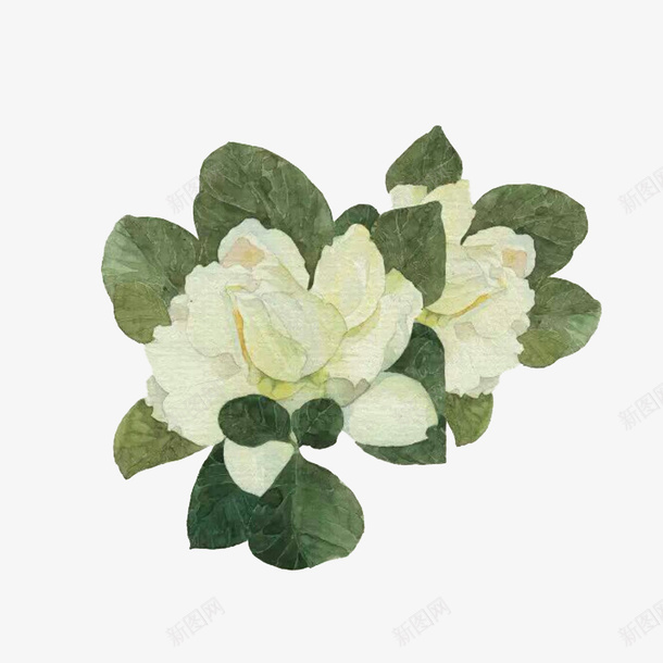 栀子花开png免抠素材_88icon https://88icon.com 一枝 手绘 栀子花叶 栀子花叶子 清新自然 白花 绿叶 迷人芬芳