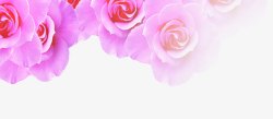 粉色玫瑰花减肥宣传单页素材
