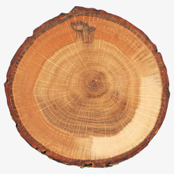 木块棕色圆形年轮明显的旧木块实物高清图片