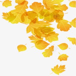 美丽的秋叶飘落的枯叶高清图片