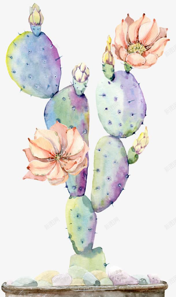 手绘绿色植物仙人掌盆栽png免抠素材_88icon https://88icon.com 仙人掌 唯美 小清新 手绘 手绘绿色植物盆栽 植物 盆栽 绿色