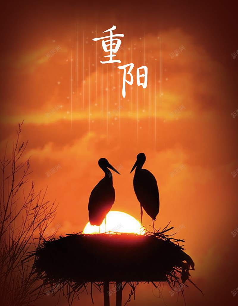 最美夕阳白鹭重阳海报背景psdpsd设计背景_88icon https://88icon.com psd 中国风 夕阳 最美夕阳 海报背景 白鹭 重阳 重阳节