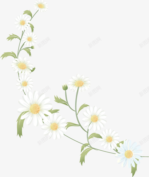 绿色树叶上的小白花png免抠素材_88icon https://88icon.com 手绘植物 植物 白色花朵 绿植 花卉 花朵
