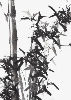 枝繁叶茂个性水墨画竹林竹子高清图片