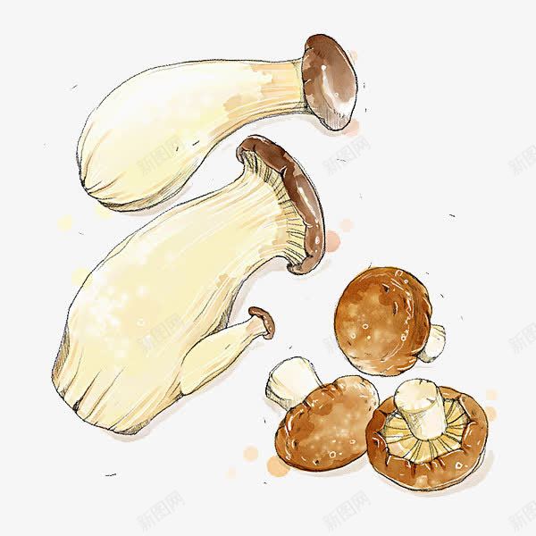 菌类食物png免抠素材_88icon https://88icon.com 手绘 斑点 根茎 棕色 渐变 白色 菌类 蔬菜 香菇