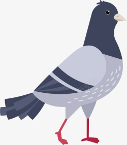 动画翅膀素材卡通手绘灰色的鸽子高清图片