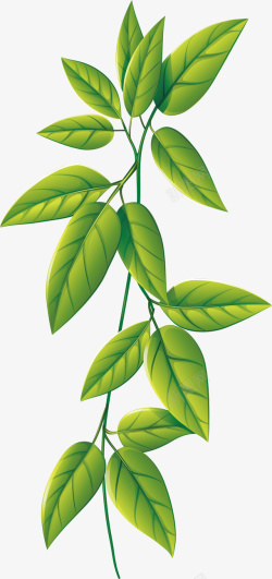 绿色细长叶片一枝树枝手绘绿叶元素矢量图高清图片