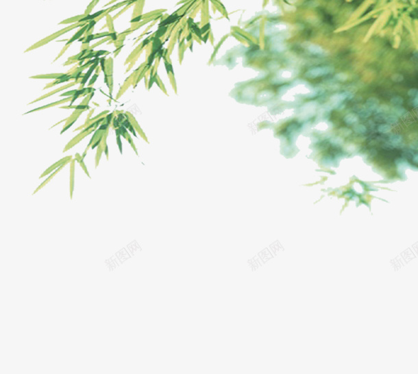 春天清新绿植装饰插图png免抠素材_88icon https://88icon.com 春天 枝叶 树叶 清新 绿植 装饰插图 边框