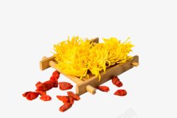 金丝菊木架子上旁边配有红色枸杞的黄色高清图片
