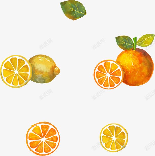 制作蜂蜜柠檬柚子茶的水果png免抠素材_88icon https://88icon.com 卡通 手绘 柚子 柚子卡通 柠檬 水果 西柚 食品