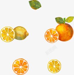 制作蜂蜜柠檬柚子茶的水果素材