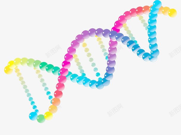 彩色DNA基因检测链png免抠素材_88icon https://88icon.com DNA 基因 基因检测 彩色 检测链