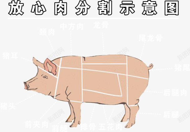 手绘猪肉分割示意图png免抠素材_88icon https://88icon.com 分割图 分割猪 手绘猪 手绘猪肉分割示意图 手绘猪蹄 放心肉 猪肉 猪肉分类 猪腿