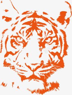 老虎动物橙色老虎头高清图片