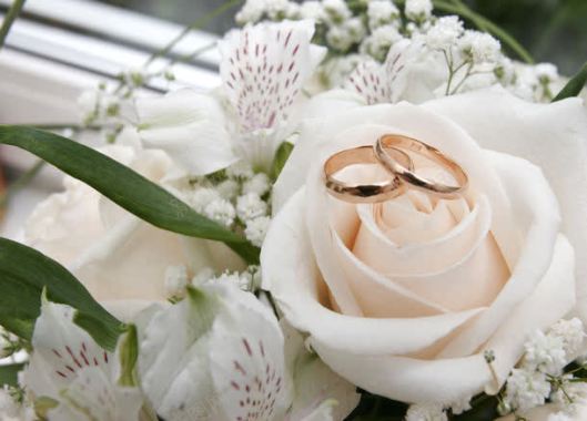 玫瑰花上的结婚戒指背景