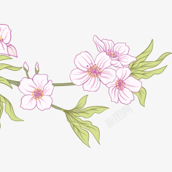 手绘樱花花朵叶子插画矢量图素材