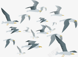 卡通海鸥灰白色空中飞翔的海鸥矢量图高清图片