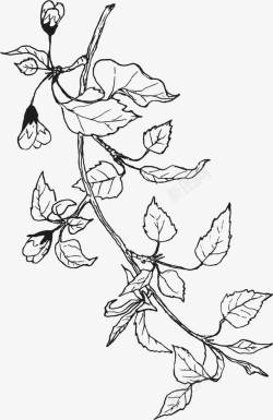 黑白创意手绘树叶装饰封面素材