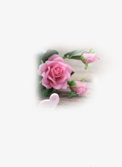 春天踏青玫瑰花粉色玫瑰花素材