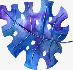 手绘水彩蓝色龟背竹叶子素材