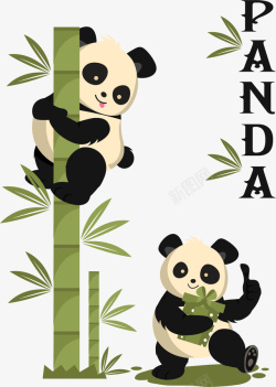 可爱的大熊猫中国国宝的大熊猫高清图片
