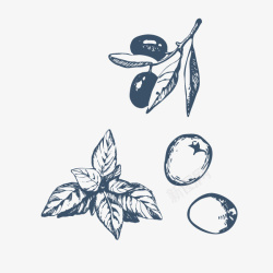 枣子卡通手绘枣子叶子高清图片