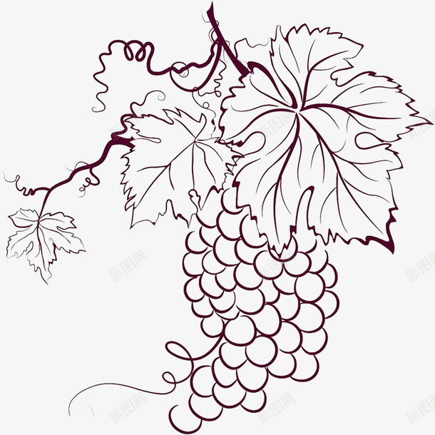 线条板绘葡萄png免抠素材_88icon https://88icon.com 单线稿 手绘葡萄 板绘葡萄 素描 线条葡萄 线稿素描 线稿葡萄 葡萄素描 葡萄线稿