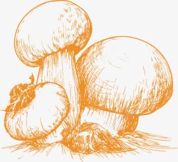 木耳菌菇拼盘一堆蘑菇高清图片