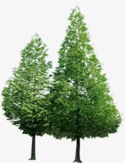 绿化树环保展板素材