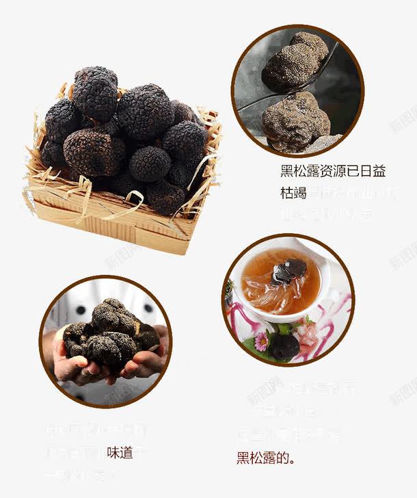 黑松露详情页说明png免抠素材_88icon https://88icon.com 新鲜松露图片 详情页 说明 黑松露