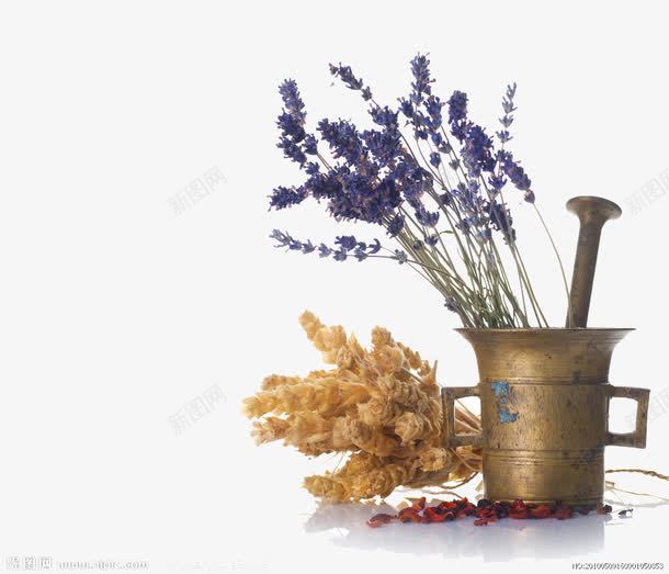 薰衣草SPA美容物品png免抠素材_88icon https://88icon.com Spa 干花 晶体 紫色 美容Spa 美容护理 美容物品 薰衣草 薰衣草疗法 香薰