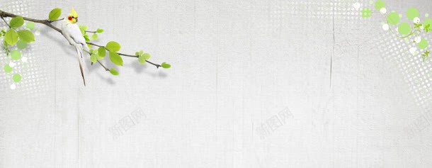 清新背景jpg设计背景_88icon https://88icon.com 淘宝天猫海报 白色干净背景 绿色