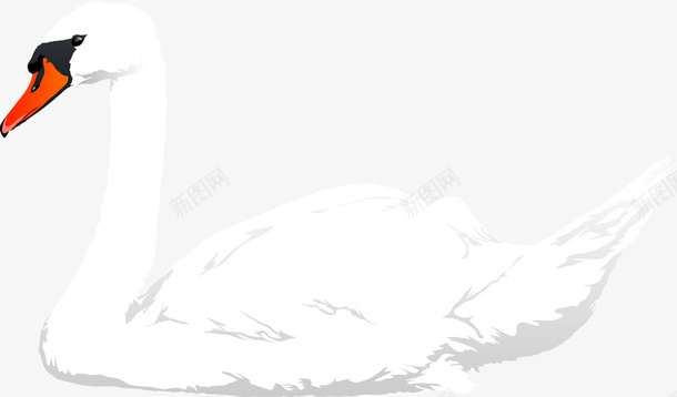 美丽手绘白天鹅卡通图像图png免抠素材_88icon https://88icon.com 卡通 图像图 手绘 白天鹅 美丽 美丽手绘白天鹅卡通图像图