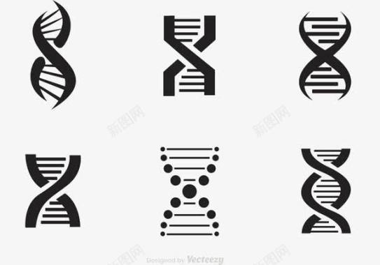 遗传分子双人间螺旋图标图标