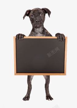 值日表狗与黑板清高清图片